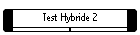 Test Hybride 2